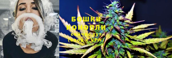 шишки Алзамай